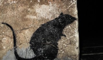 Luttons ensemble contre les rats!